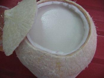 Cách làm rau câu trái dừa đủ màu - PHONG THỦY