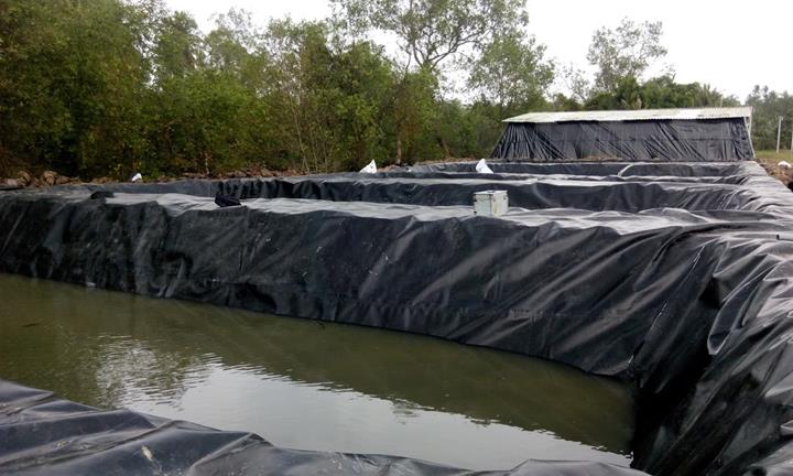 Giải pháp chống thấm hiệu quả cho ao hồ với bạt HDPE - PHONG THỦY